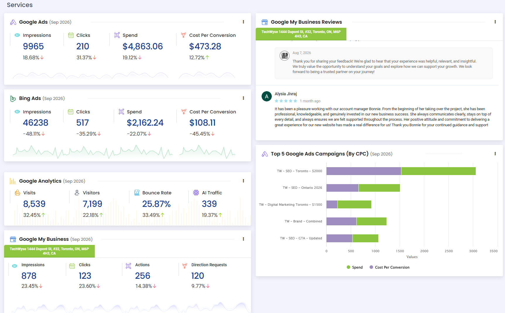 Google Ads performance in AdLuge